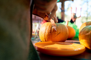 Similar image 11897799