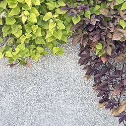 Similar image 11917809