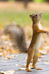 Similar image 11917983