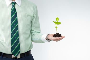 Similar image 11897822