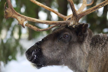 Similar image 11897205