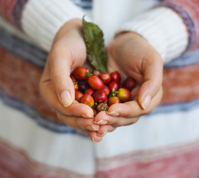 Similar image 11897230