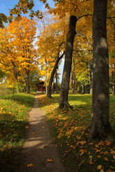 Similar image 11918056