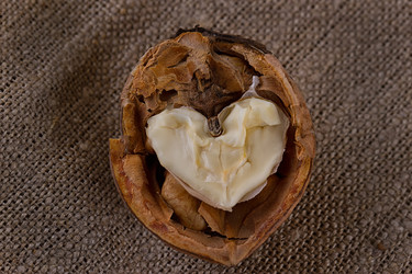 Similar image 11923688