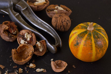 Similar image 11923706