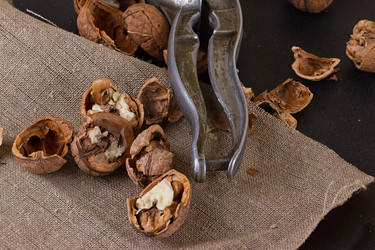 Similar image 11923726