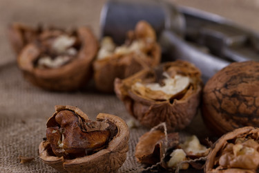 Similar image 11923729