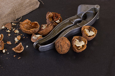 Similar image 11923743