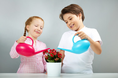 Similar image 11897416