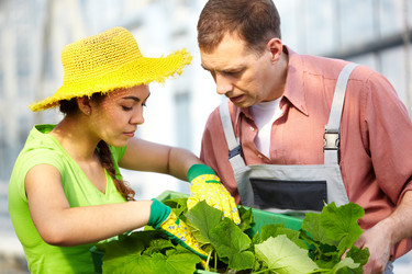 Similar image 11897437