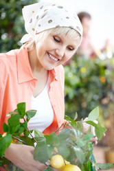 Similar image 11897813