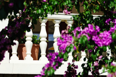 Similar image 11897334