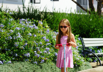 Similar image 11897275