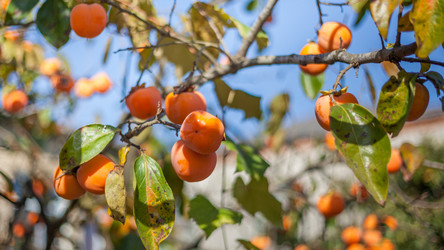 Similar image 11898306