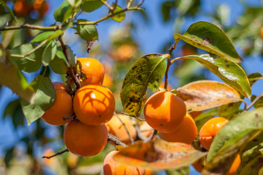 Similar image 11898307