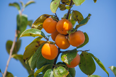 Similar image 11898308