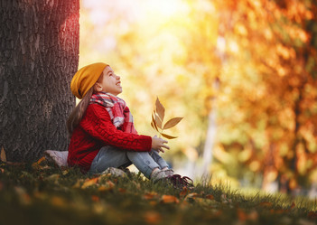 Similar image 11897168