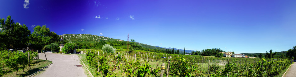 Similar image 11897349