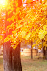 Similar image 11898315