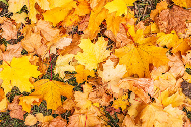 Similar image 11898316