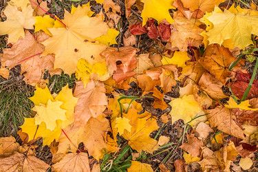 Similar image 11898317