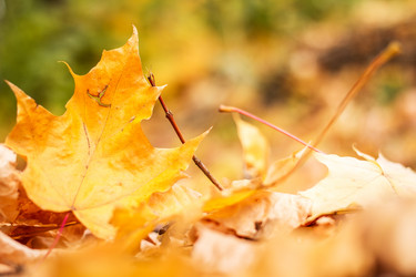 Similar image 11898318