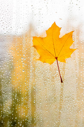 Similar image 11898319