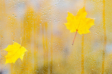 Similar image 11898321