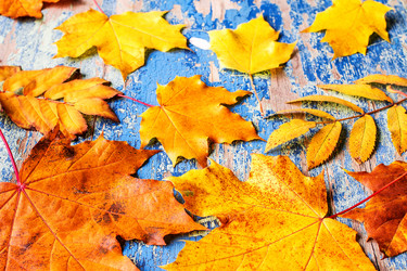 Similar image 11898323