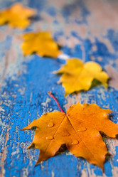 Similar image 11898324