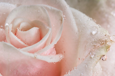 Similar image 11898537