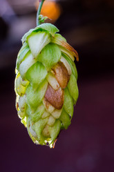 Similar image 11898539