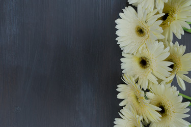 Similar image 11913158