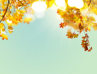 Similar image 11913237