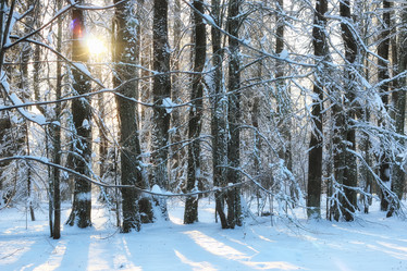 Similar image 11918703