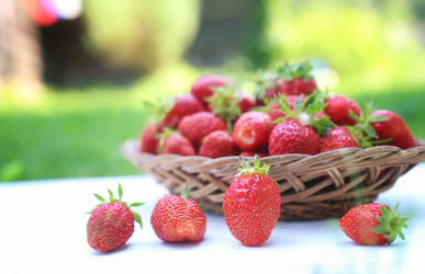 Similar image 11918713