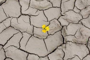 Similar image 11902427