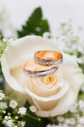 Similar image 11911923