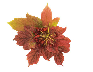 Similar image 11918635