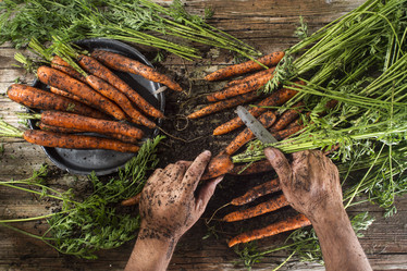 Similar image 11918824