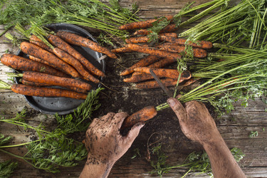 Similar image 11918826