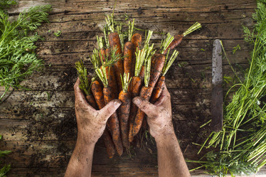 Similar image 11918827