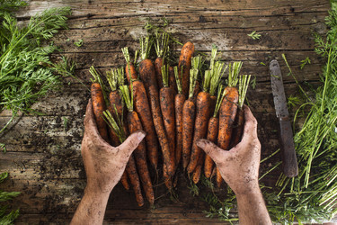 Similar image 11918828