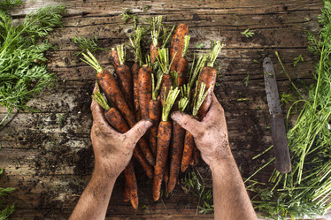 Similar image 11918829