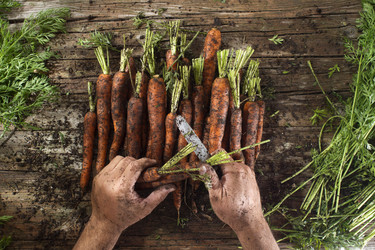 Similar image 11918830