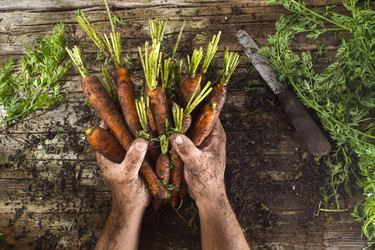 Similar image 11918831