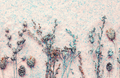 Similar image 11898722