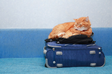 Similar image 11918810