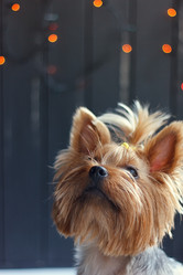 Similar image 11923949