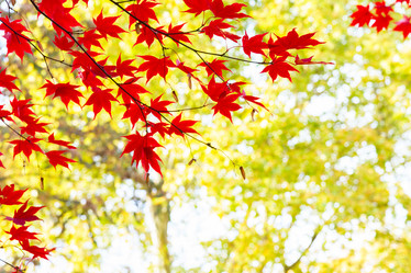 Similar image 11913066